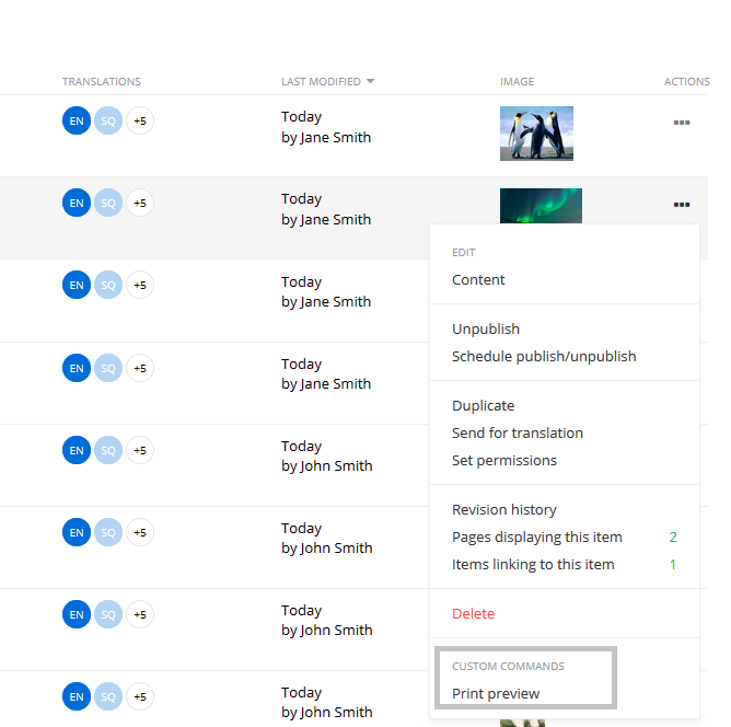 CustomAction_extensions