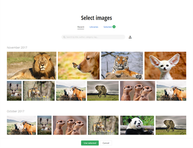 iris-image selector iris-image selector