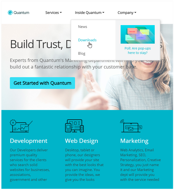 net-core-service-demo-megamenu net-core-service-demo-megamenu