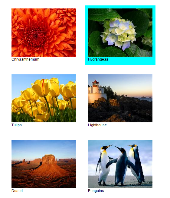 SimpleImageSelector