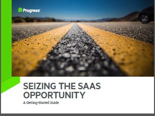 Seizing the SaaS Opportunity