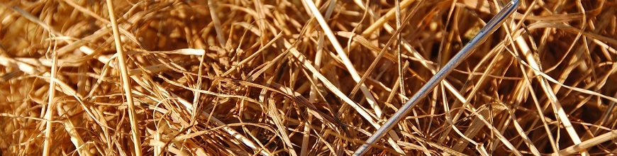 Find Needles In Data Haystacks With Unsupervised Learning Find Needles In Data Haystacks With Unsupervised Learning