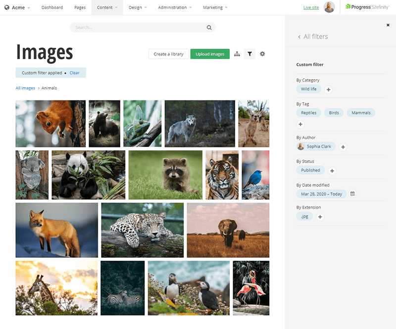 images-small images-small