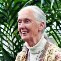 Dr. Jane Goodall Dr. Jane Goodall