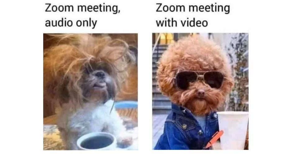 VideoOn/Off in Zoom Meetings 