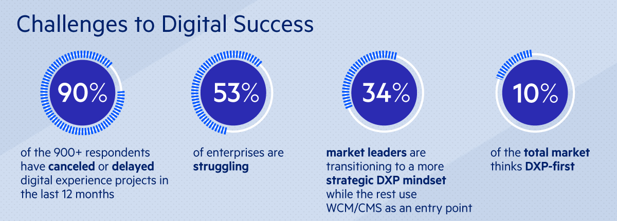 Challenges to Digital Success Challenges to Digital Success