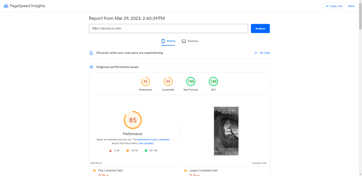 Google’s PageSpeed Insights will analyze any domain for free. By default, it will show you results for your Mobile website. (You can also look at the Desktop results.) Your site will be analyzed according to four factors: Performance, Accessibility, Best Practices, and SEO.