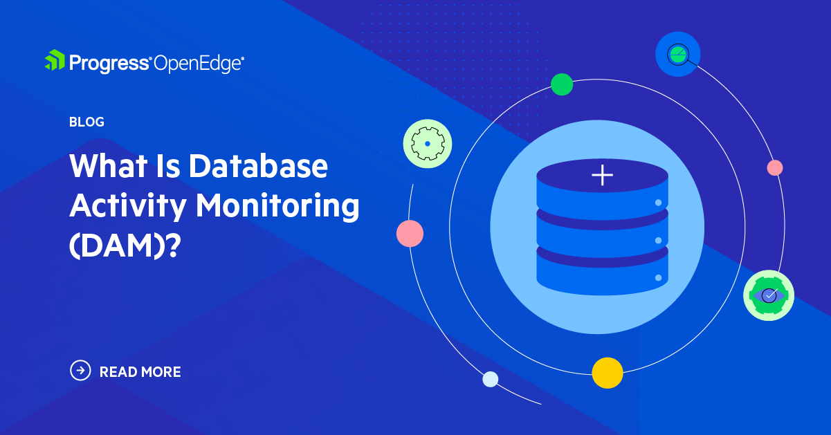 Database Activity Monitoring (DAM) – What It Is and Why to Use It
