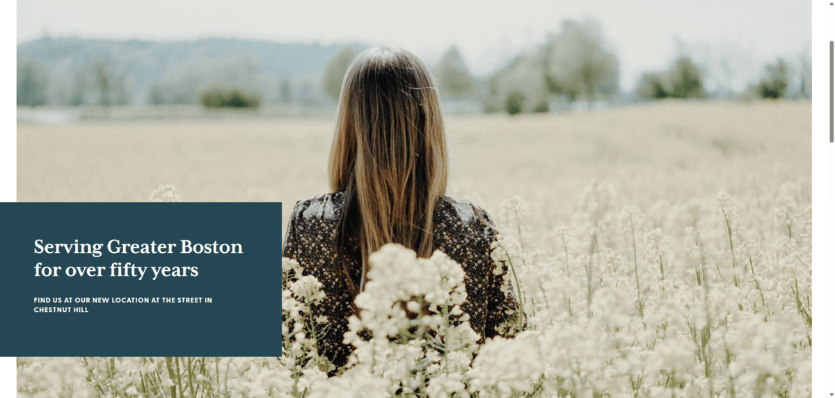 NEOBGYN fonts A screenshot of the hero section for New England OB-GYN. There’s a fullscreen photo of a woman with her face turned away from us while she stands in a field of white flowers. The text to the left reads: “Serving Greater Boston for over fifty years- Find us at our new location at the street in Chestnut Hill”