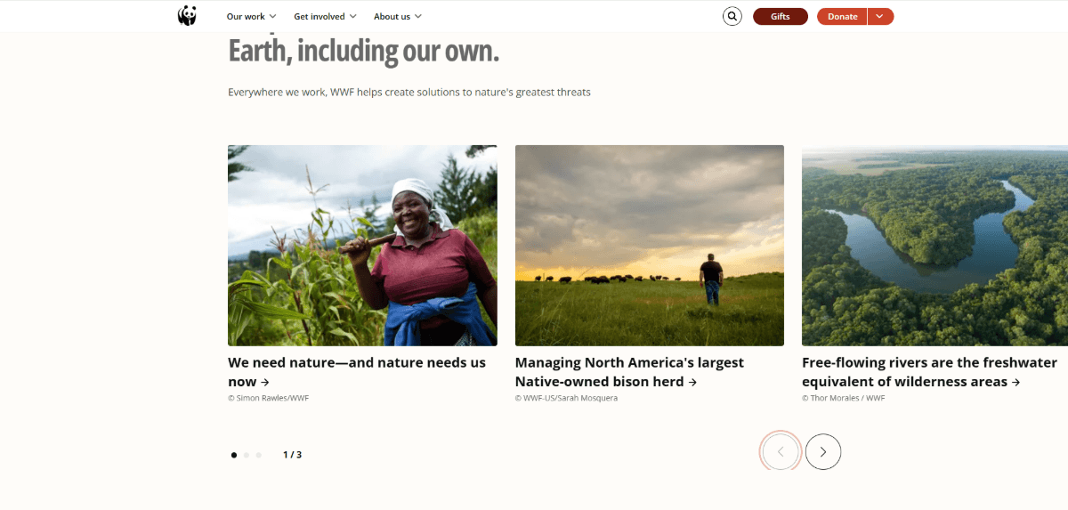 A screenshot of the blog post carousel on the World Wildlife Fund homepage. To the left of the carousel is white space that fills the left margin of the page. The carousel contains three blog posts which extend fully to the right edge of the page.