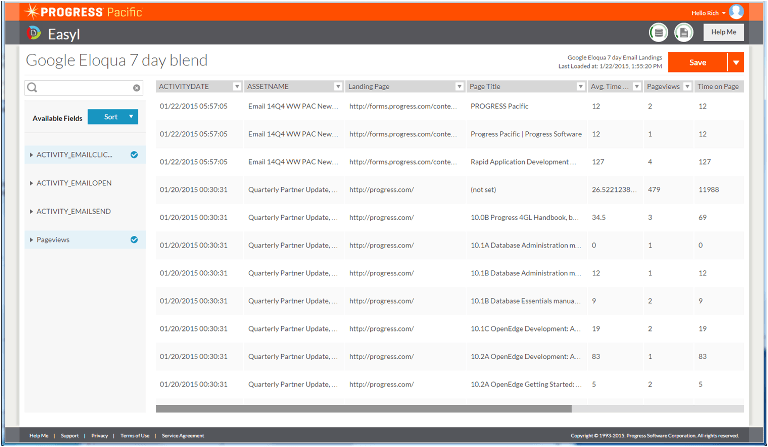google eloqua report