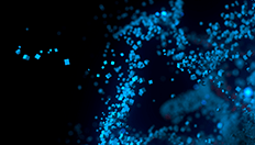 What's New in REST APIs for Your Database