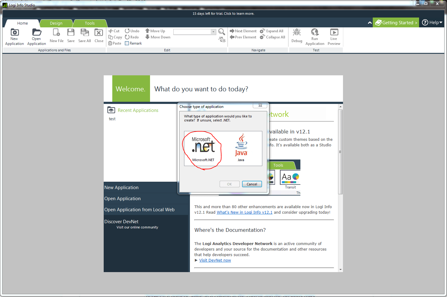 Choose the “Microsoft .Net” application option
