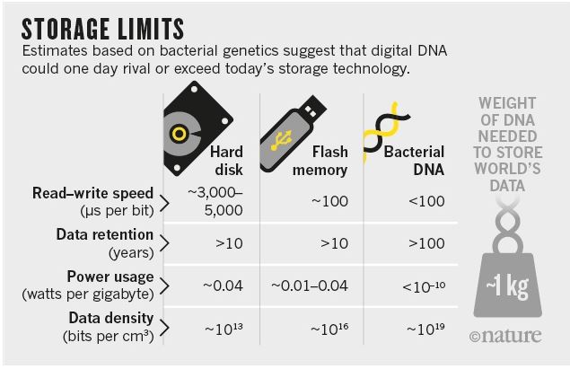 DNA Data Storage Technology Available Now on Amazon