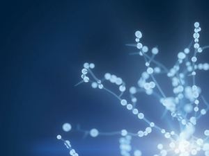 oe12.0_thumb_300x225px