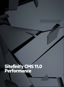 Sitefinity CMS Performance