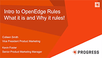 Introduction to OpenEdge Rules Part 1