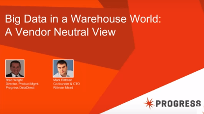 Big data in a warehouse world