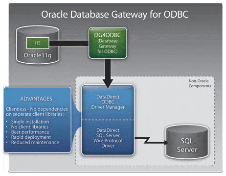 oracle odbc driver for sql server