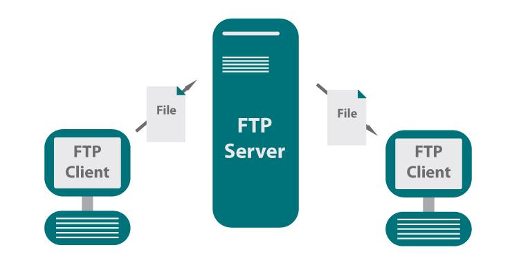 What Is File Transfer Protocol (FTP)?