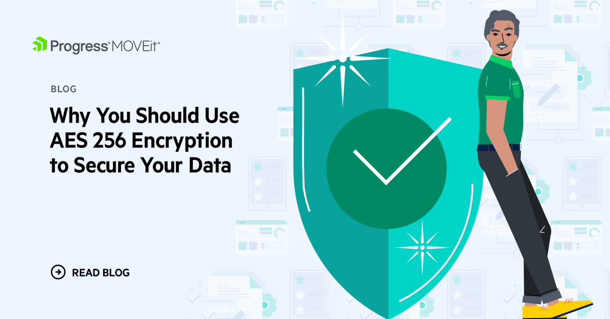 What Is AES 256 Encryption & How Does It Work?