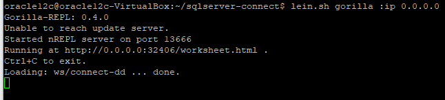 Gorilla Server Start