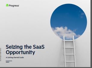 eBook: Seizing SaaS Oppoturnity 